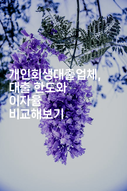 개인회생대출업체, 대출 한도와 이자율 비교해보기-트래블릭