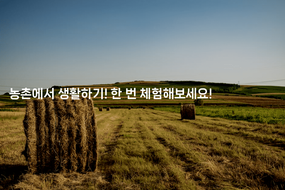 농촌에서 생활하기! 한 번 체험해보세요!-트래블릭