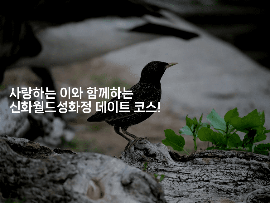 사랑하는 이와 함께하는 신화월드성화정 데이트 코스! 2-트래블릭