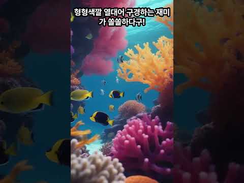 탑5 가성비 갑 멕시코 패키지 여행지 #멕시코여행 #멕시코