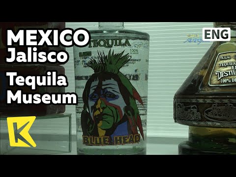 【K】Mexico Travel-Jalisco[멕시코 여행-할리스코]전통술 데낄라 박물관/Tequila Museum/Drink/Agave