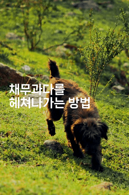 채무과다를 헤쳐나가는 방법-트래블릭