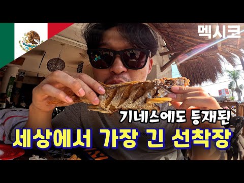 [멕시코] 프로그레소│메리다에서 가장 가까운 🏖️바다 여행🌴