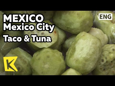 【K】Mexico Travel-Mexico City[멕시코 여행-멕시코시티]거리 음식, 타코와 투나/Taco & Tuna/Lunch/Food/Street