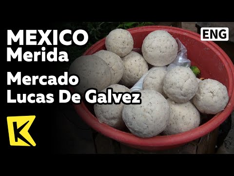 【K】Mexico Travel-Merida[멕시코 여행-메리다]갈베스시장/Mercado Lucas De Galvez/Cancun/Tortilla/Habanero/Tamale