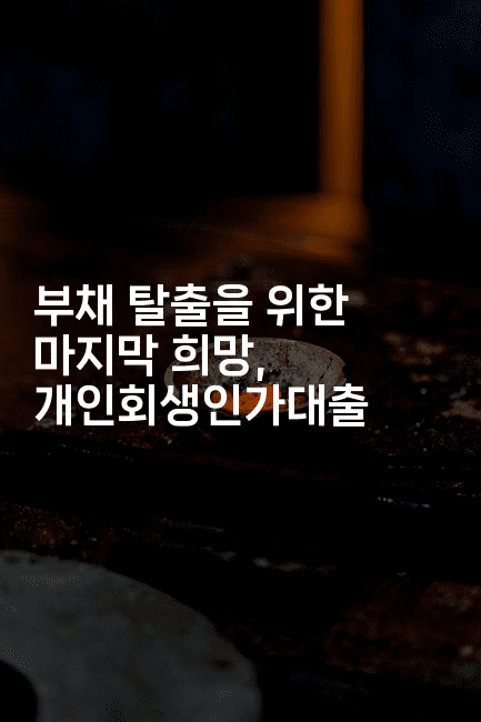 부채 탈출을 위한 마지막 희망, 개인회생인가대출-트래블릭