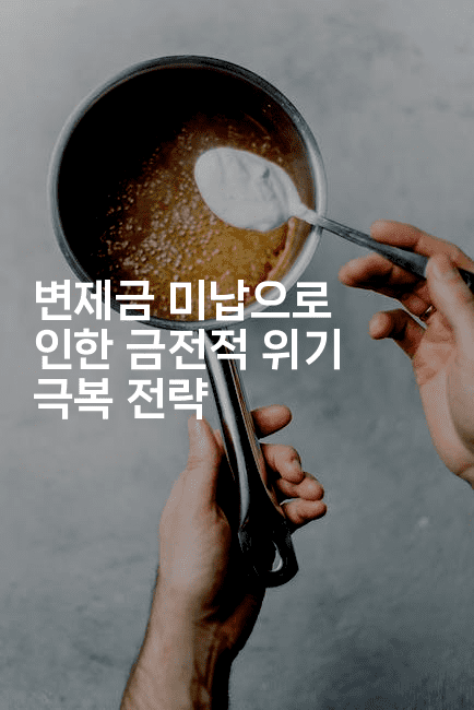 변제금 미납으로 인한 금전적 위기 극복 전략