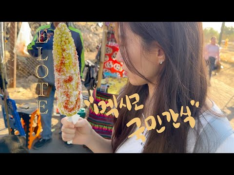 멕시코 여행 Vlog | 마약 옥수수를 손에 넣다(엘로떼, 마약 옥수수, 블라블라카, 코요아칸, chilis, 멕시코시티 맛집, 일상 브이로그, 피라미드)