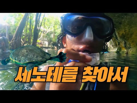 툴룸 세노테를 찾아서 [멕시코여행]-유럽에서 남미까지 EP47