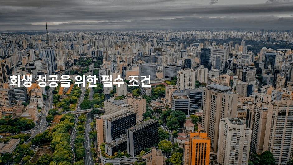 회생 성공을 위한 필수 조건-트래블릭