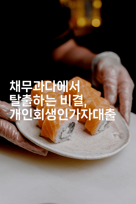 채무과다에서 탈출하는 비결, 개인회생인가자대출-트래블릭