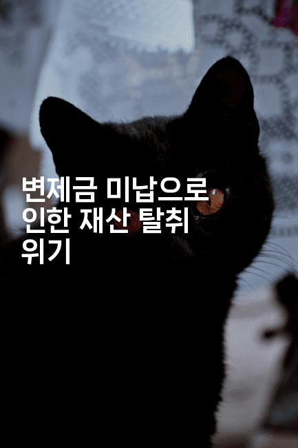 변제금 미납으로 인한 재산 탈취 위기-트래블릭